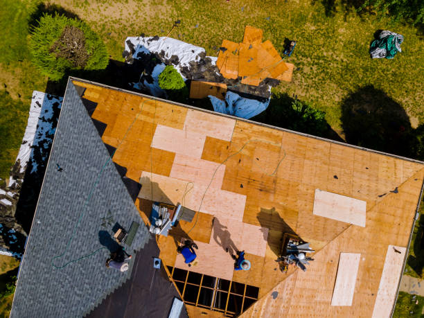 Best Roof Gutter Cleaning  in Cricket, NC