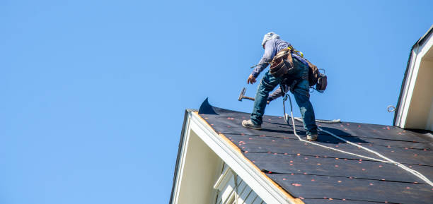 Best Roof Maintenance Services  in Cricket, NC